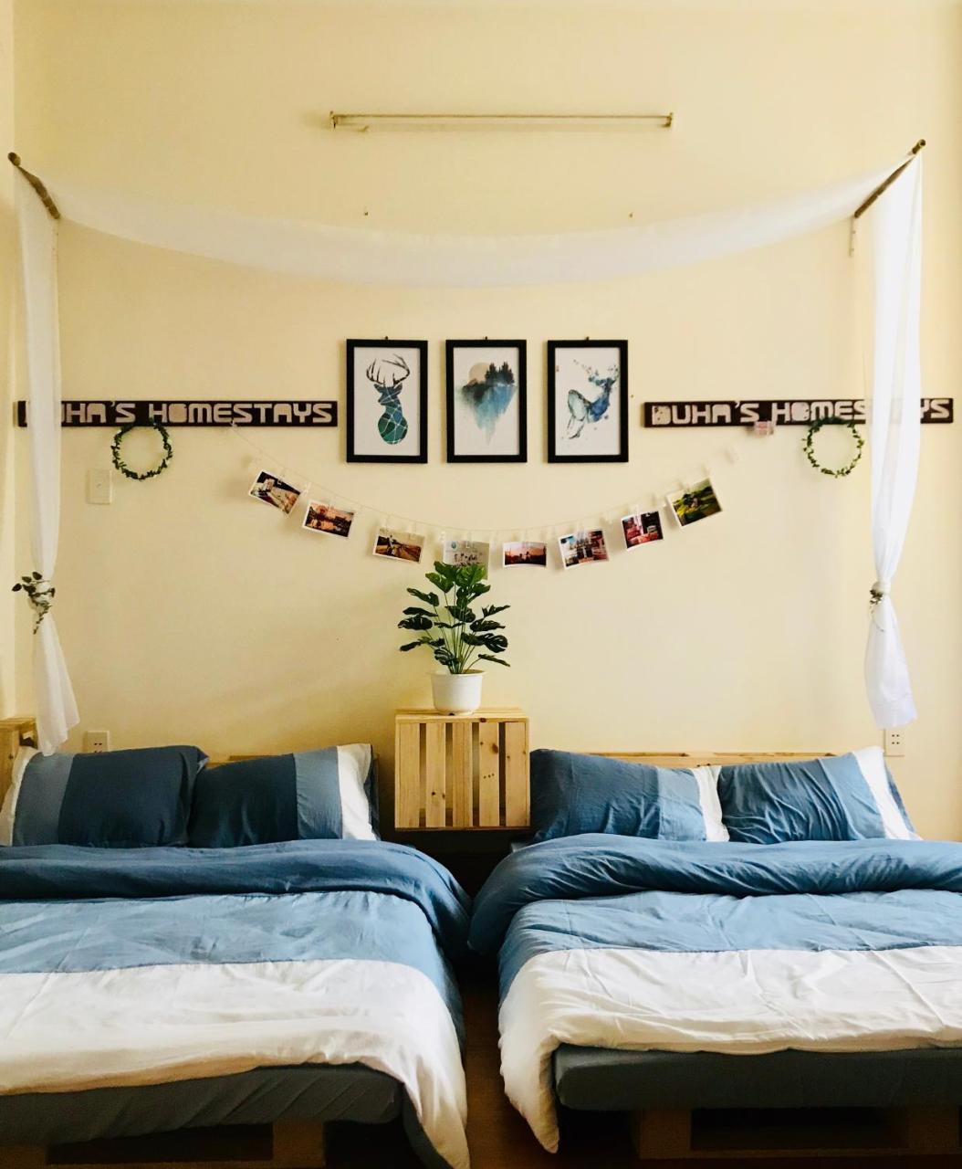 Duha'S Homestay Danang Extérieur photo